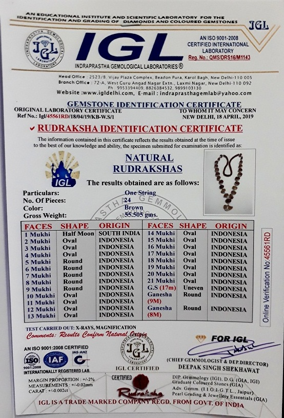 IGL Rudraksha identification certificate for a 1 to 21 Mukhi Indonesian siddha mala