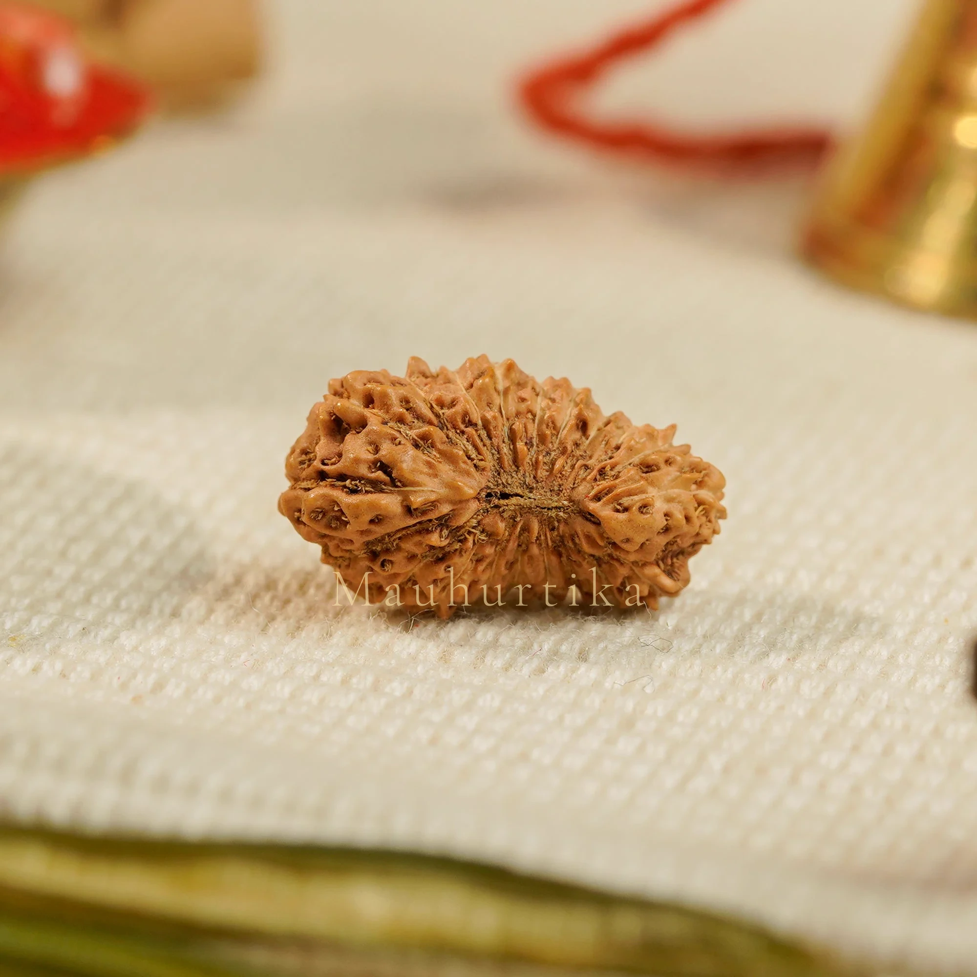 20 Mukhi Rudraksha – Original Indonesian (Java) Collector Bead — current catalogue photograph, not evidence of medical or spiritual outcomes.
