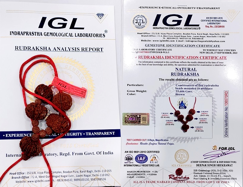 IGL Rudraksha analysis report for a five bead Nepali combination pendant