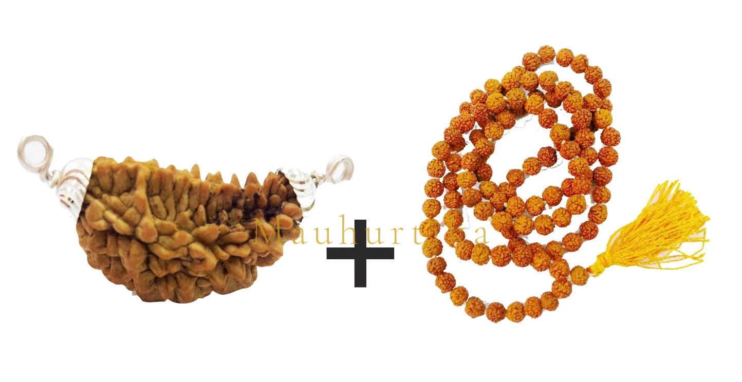 1 Mukhi Rudraksha Mala Pendant | Certified One Face Rudraksha in 5 Mukhi Mala 108+1 Beads — Indonesia photo 2