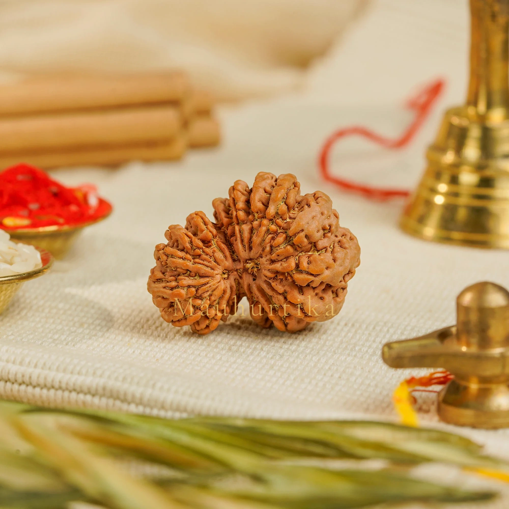 17 Mukhi Gauri Shankar Rudraksha – Original Nepali Collector Bead
