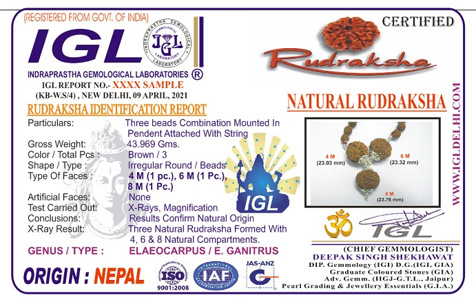 IGL Rudraksha identification report for a 4, 6 and 8 Mukhi three bead combination