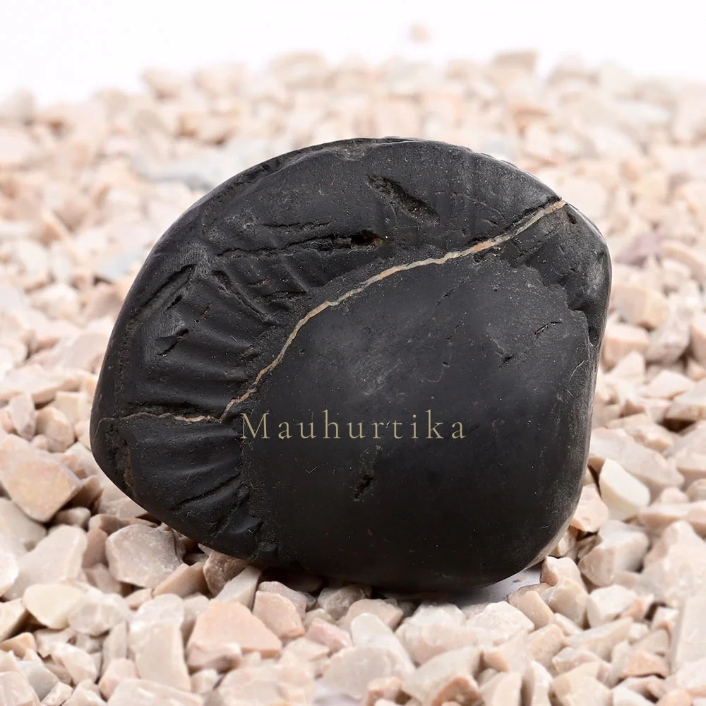 Radha Krishna Shaligram Shila — 96 g
