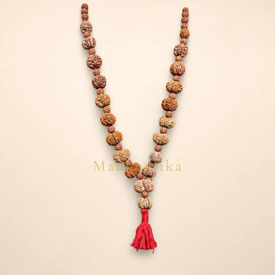 Bhoomi Devi Gayatri Siddha Mala — 1 to 18 Mukhi Nepali Rudraksha