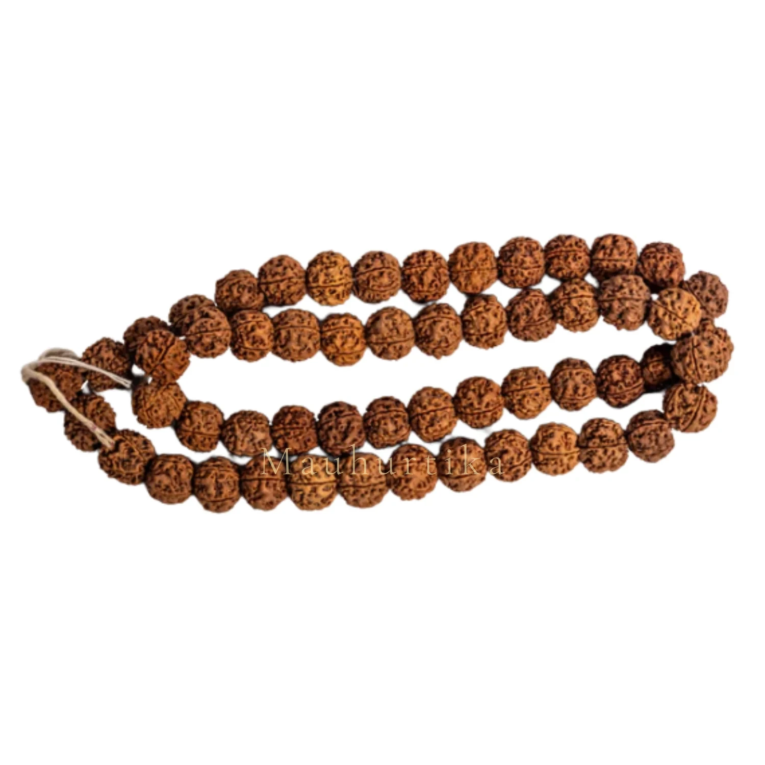 Premium Nepali 5 Mukhi Rudraksha Kantha — Nepal photo 2
