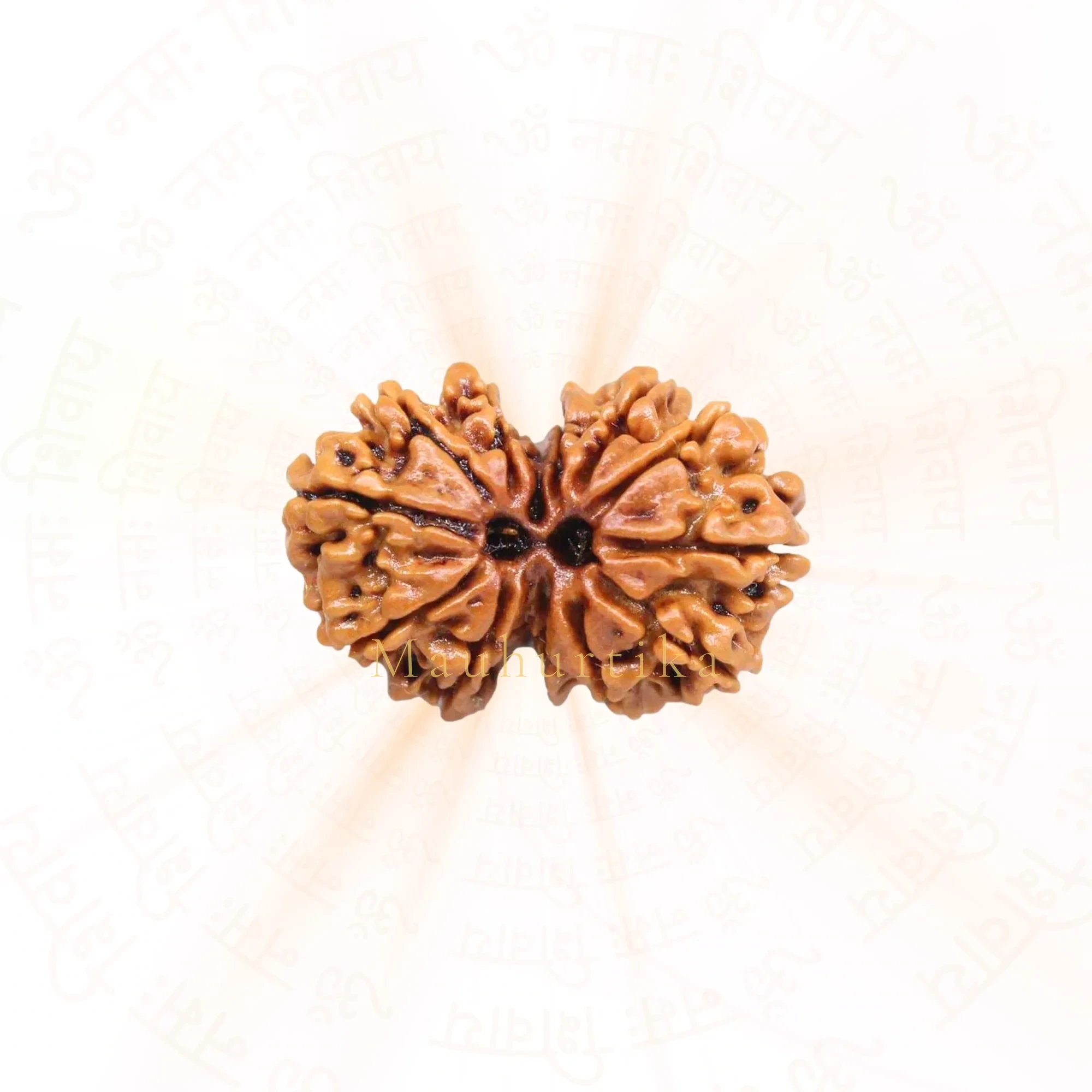 Gauri Shankar Rudraksha (Nepali) — Nepal photo 2