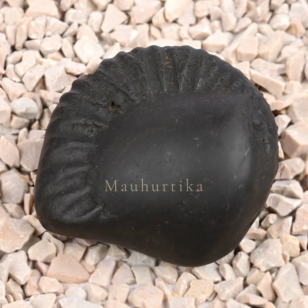 Swarna Paduka Radha Krishna Shaligram Shila