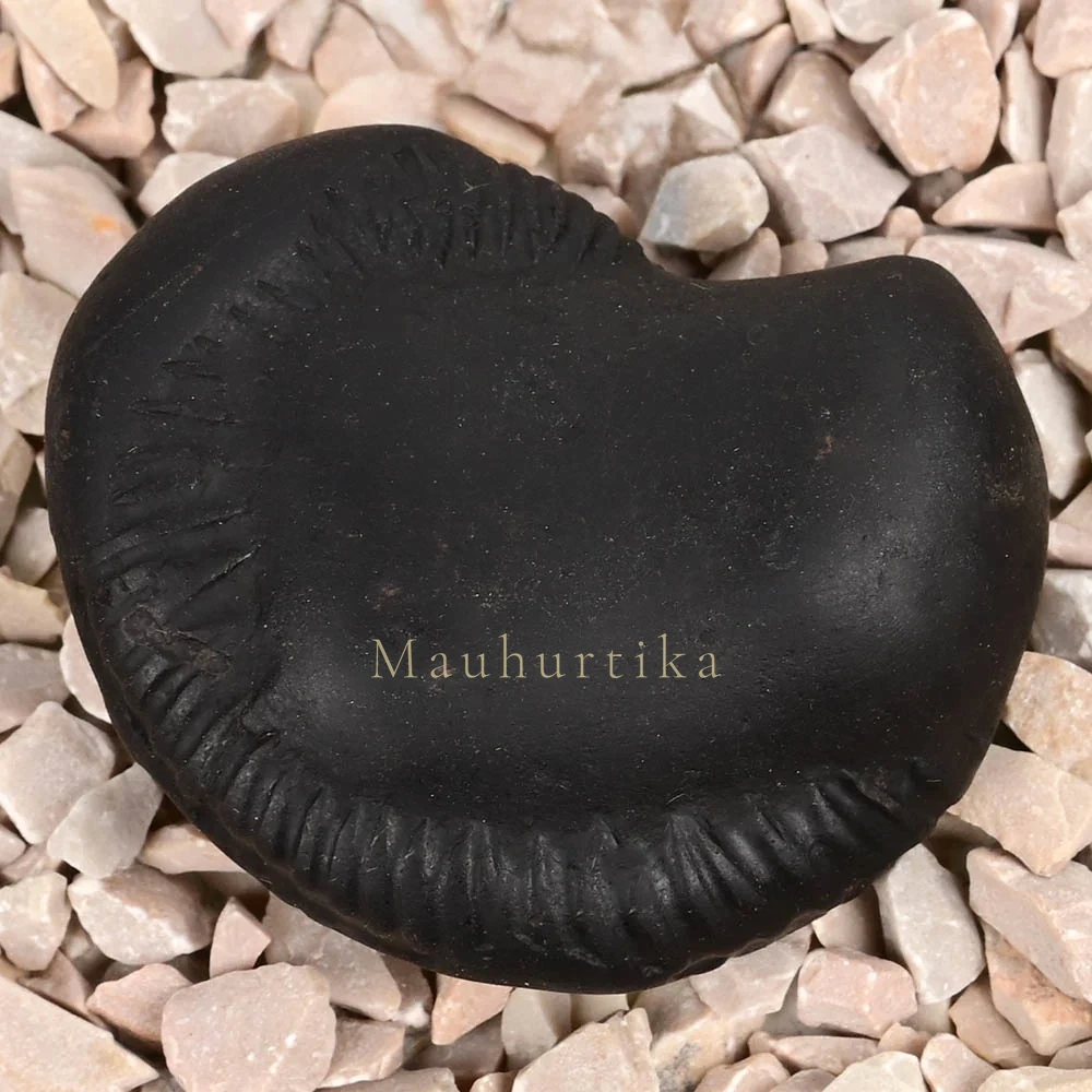 Laxmi Narayan Varana Shaligram Shila