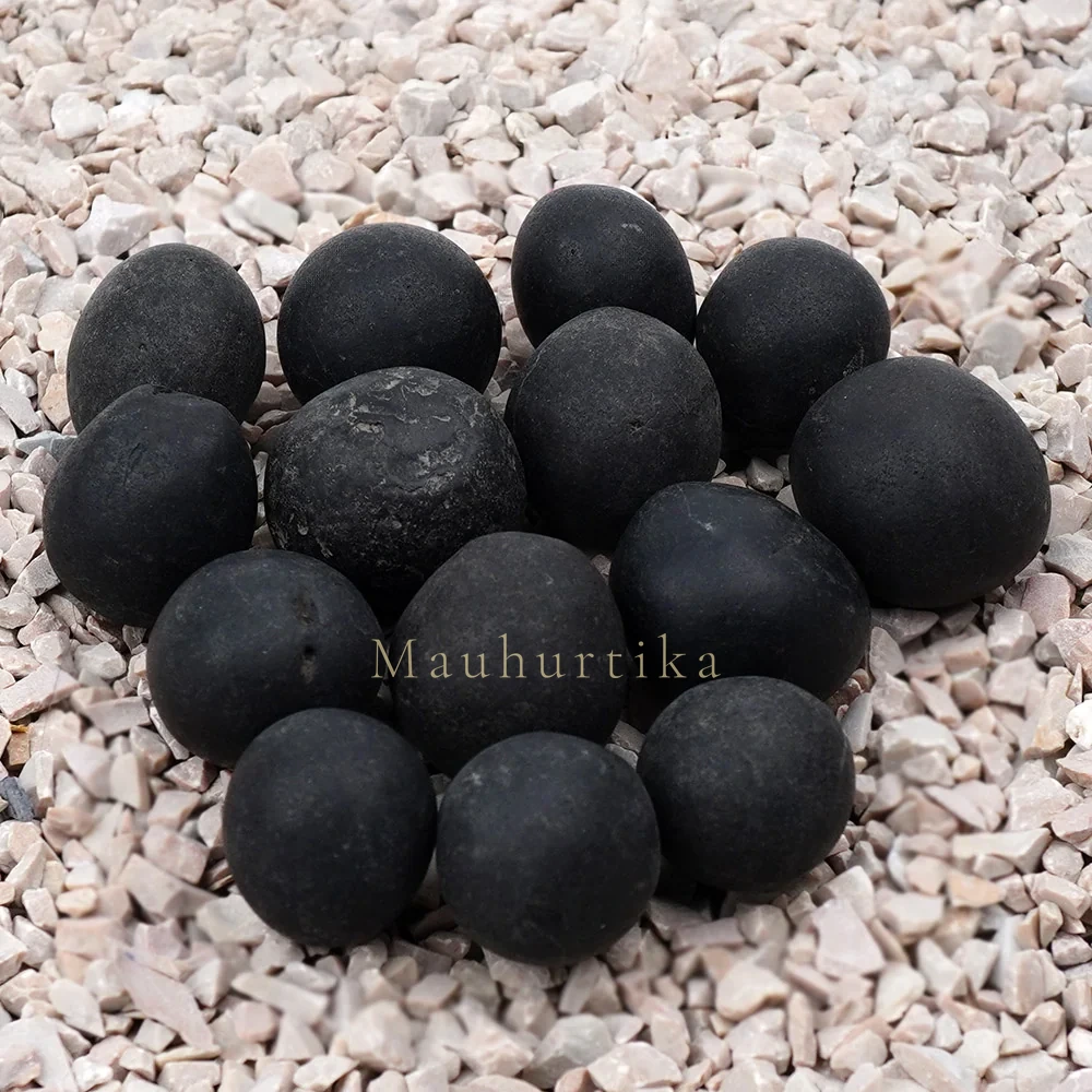 Laddu Gopal Shaligram Shila