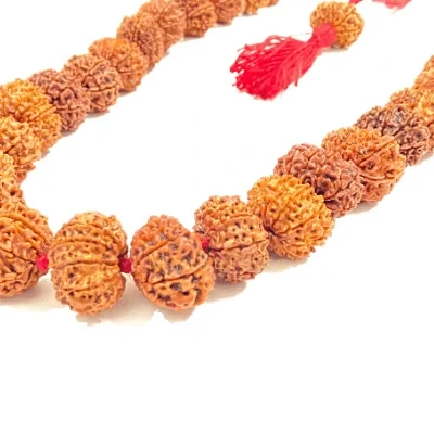 8 Mukhi Rudraksha Mala 108+1 Beads (Nepali) — Nepal photo 2
