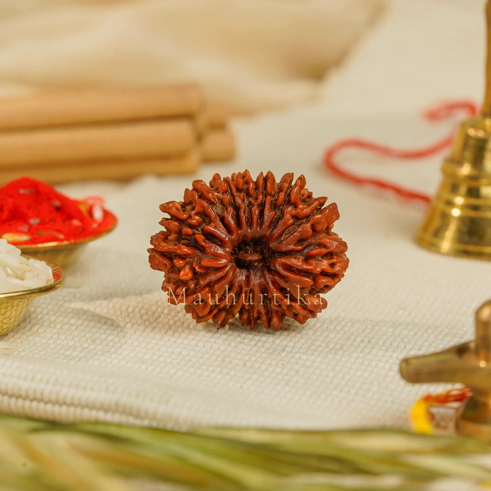15 Mukhi Rudraksha – Original Nepali Collector Bead
