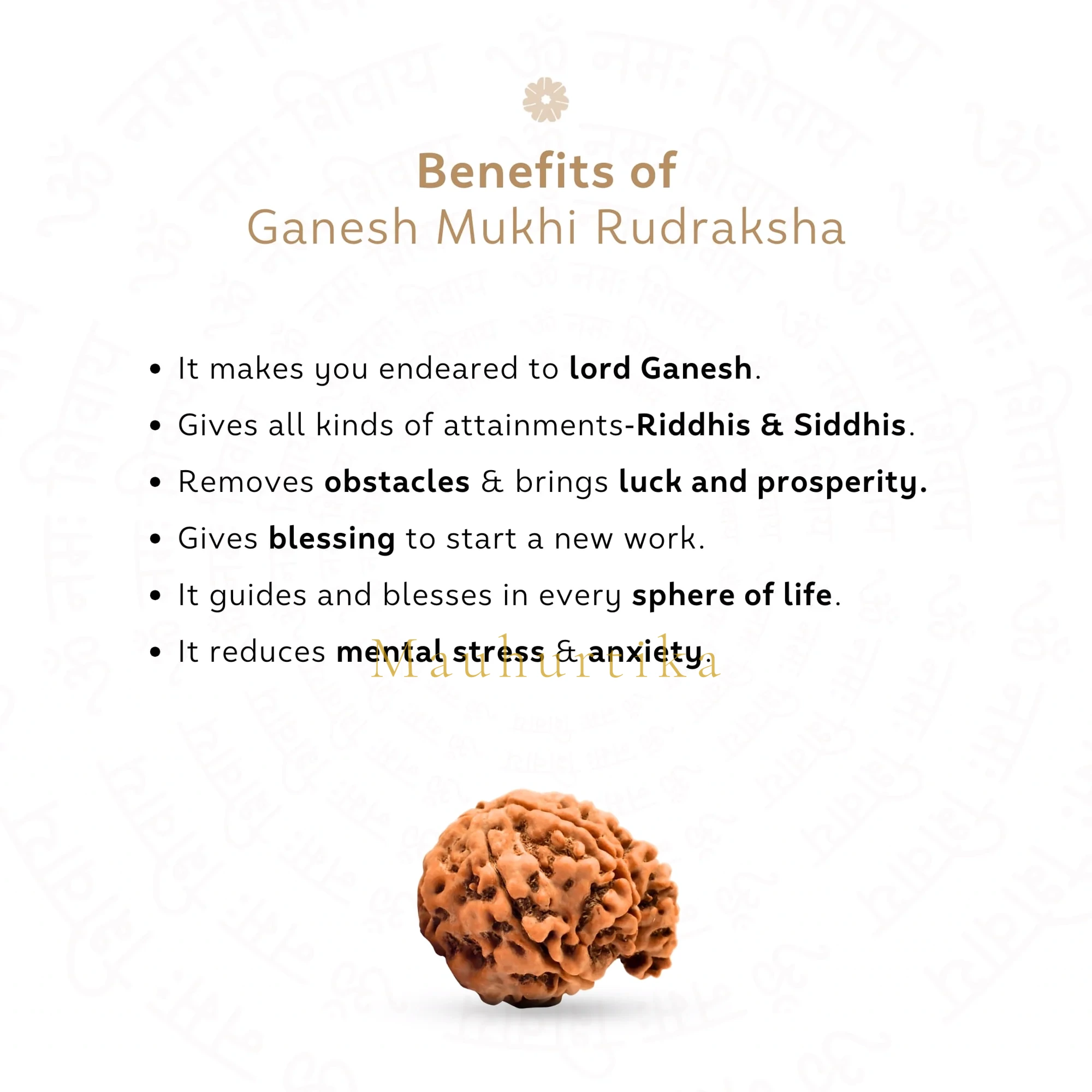 Ganesh Mukhi Rudraksha (Nepali) — Nepal photo 3