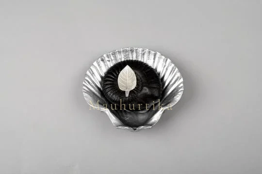 Laxmi Narayana Shaligram Shila