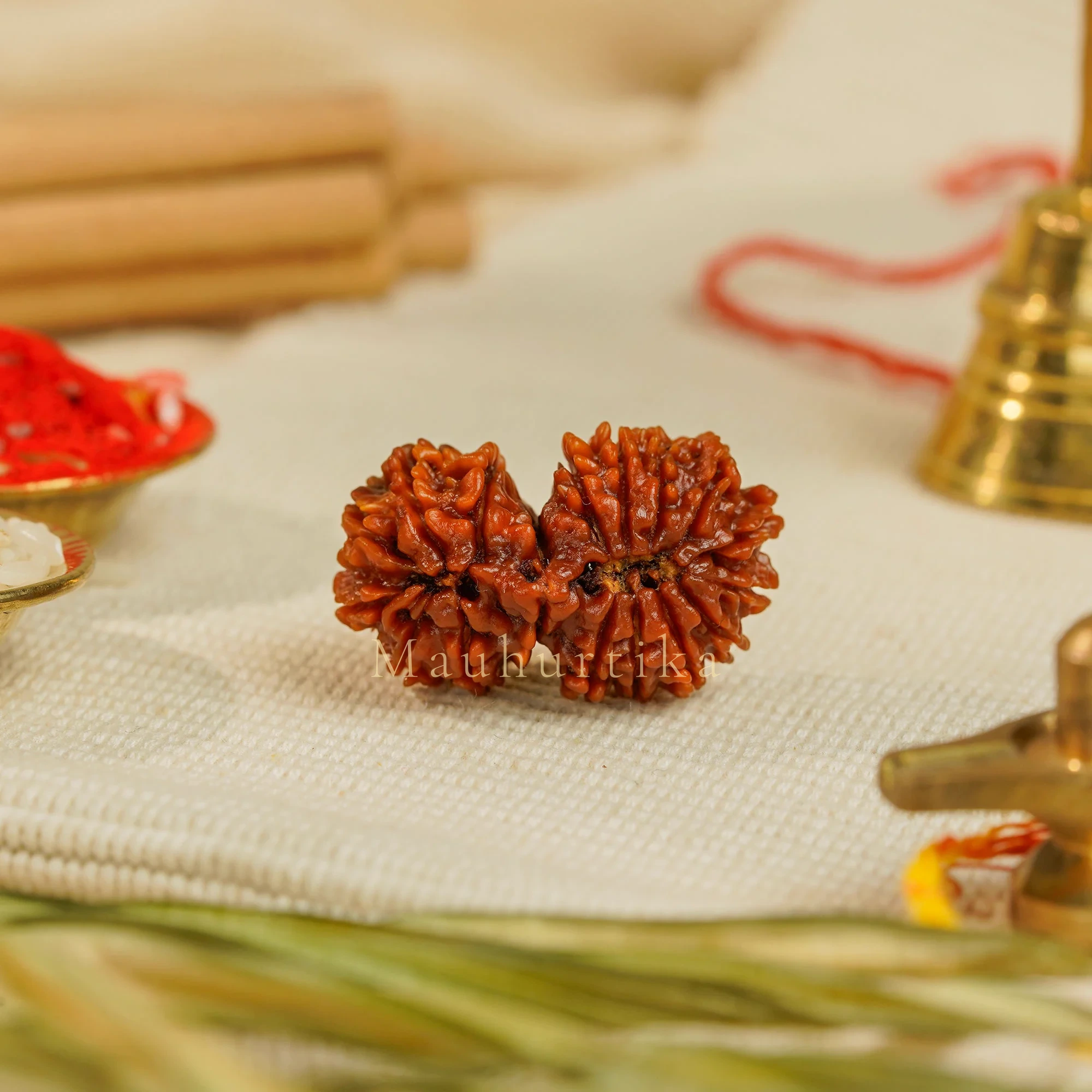 18 Mukhi Gauri Shankar Rudraksha – Original Nepali Collector Bead — current catalogue photograph, not evidence of medical or spiritual outcomes. This photograph does not verify the separate-half counts discussed in the guide.