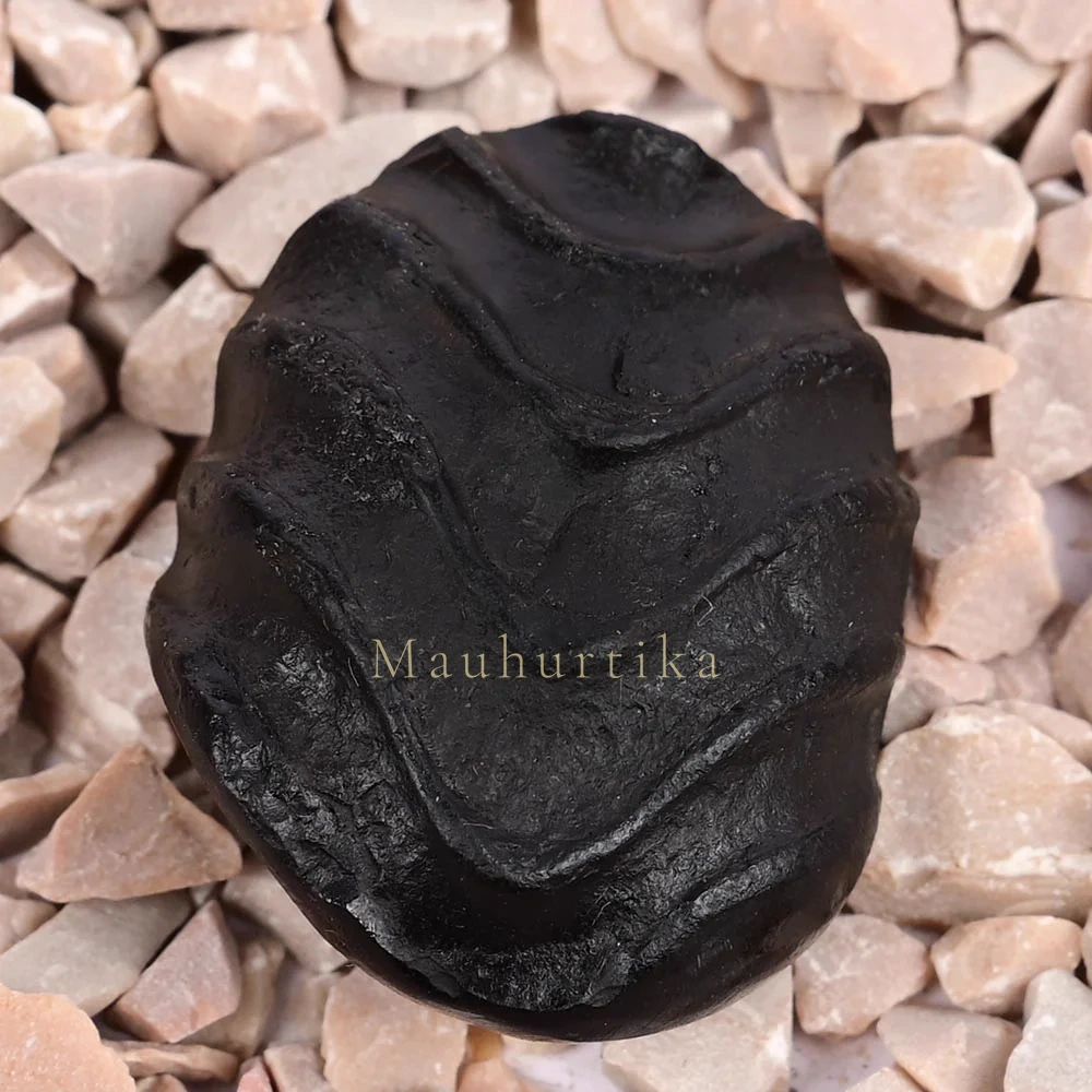 Swarna Laxmi Shaligram Shila — 15 g