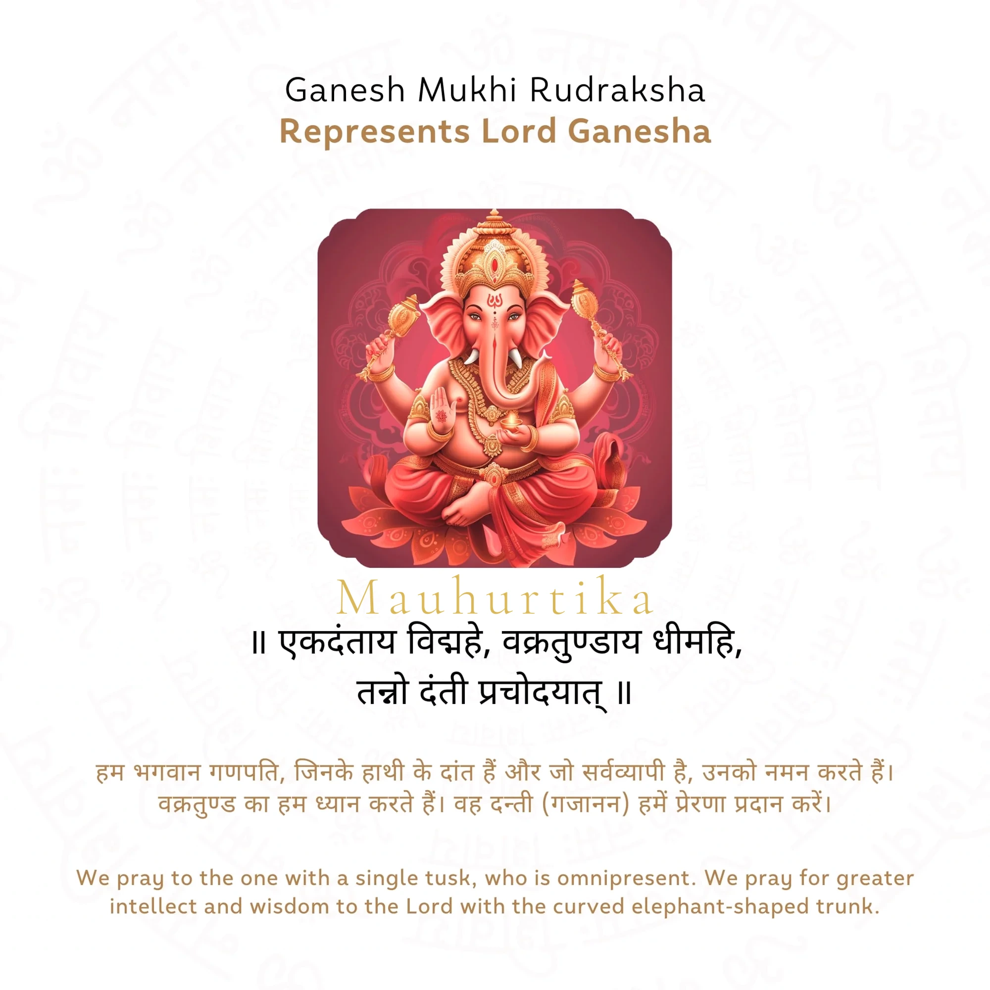Ganesh Mukhi Rudraksha (Nepali) — Nepal photo 4