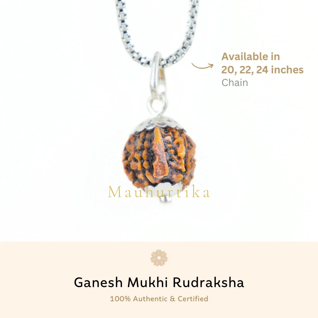 Ganesh Mukhi Rudraksha Silver Capping Pendant ( Nepali ) — Nepal photo 2