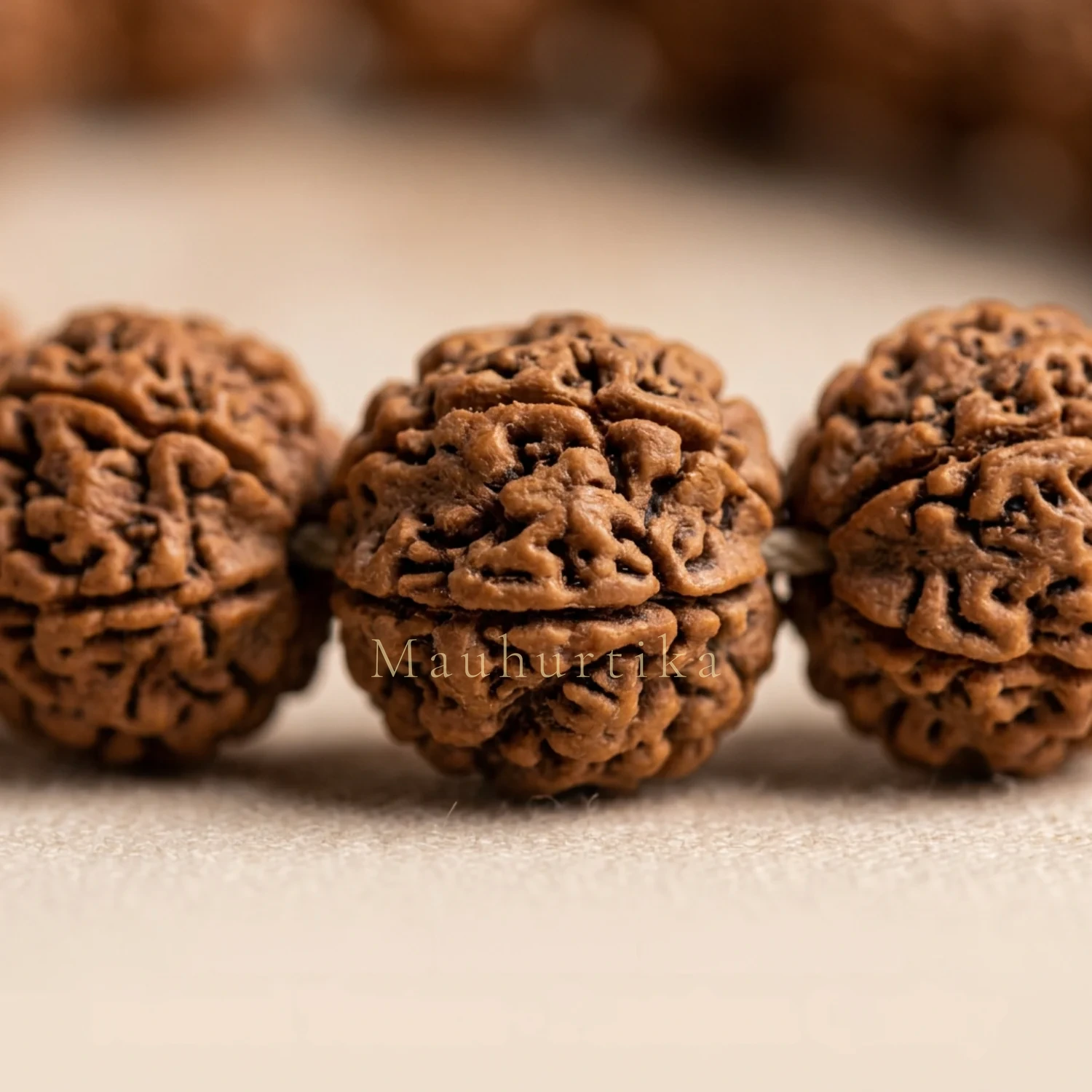 Premium Nepali 5 Mukhi Rudraksha Kantha — Nepal photo 3