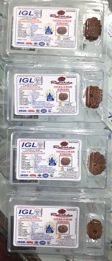 Certified Rudraksha beads sealed in tamper-evident blister packing with IGL cards