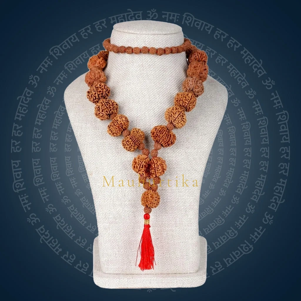 Siddha Mala | 1 Mukhi Underdeveloped Rudraksha | Collector Grade Nepal