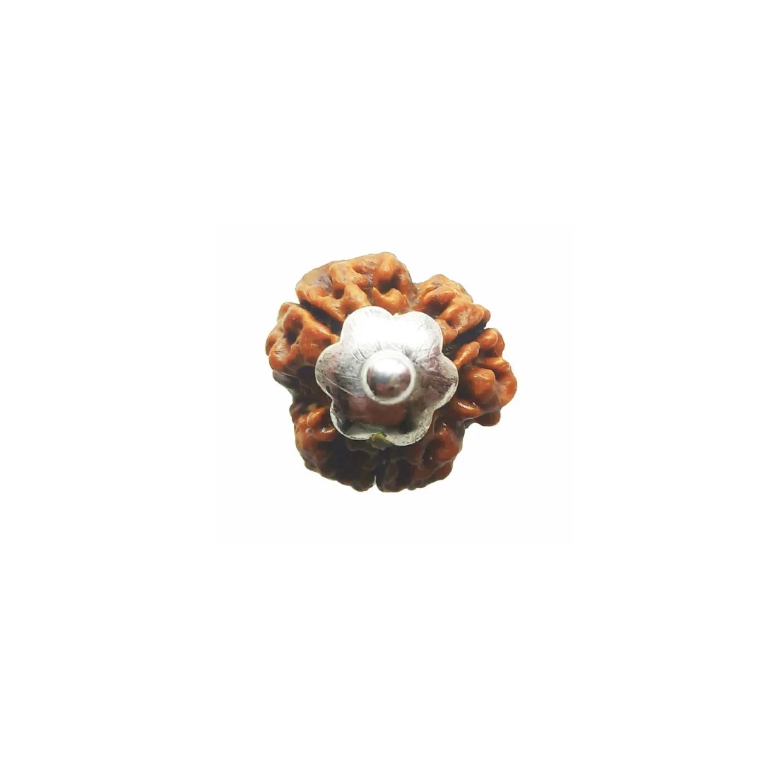 3 Mukhi Rudraksha Silver Capping  Pendant ( Nepali ) — Nepal photo 4
