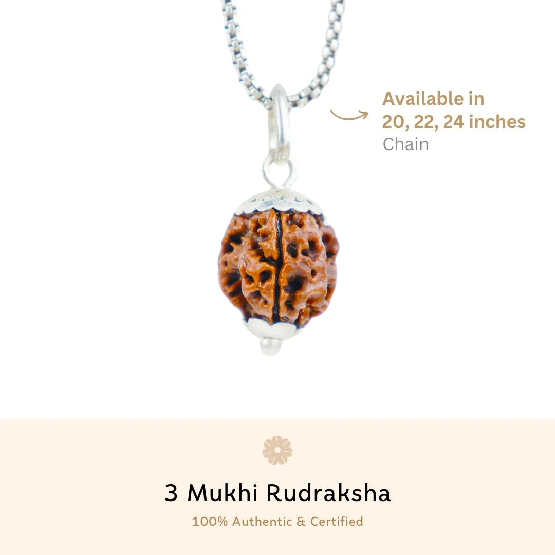 3 Mukhi Rudraksha Silver Capping  Pendant ( Nepali ) — Nepal photo 3
