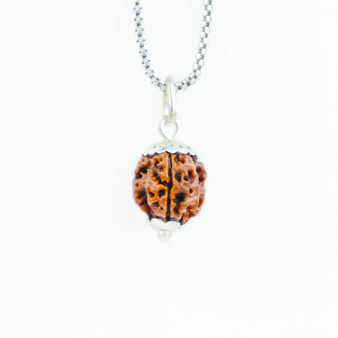 3 Mukhi Rudraksha Silver Capping  Pendant ( Nepali )