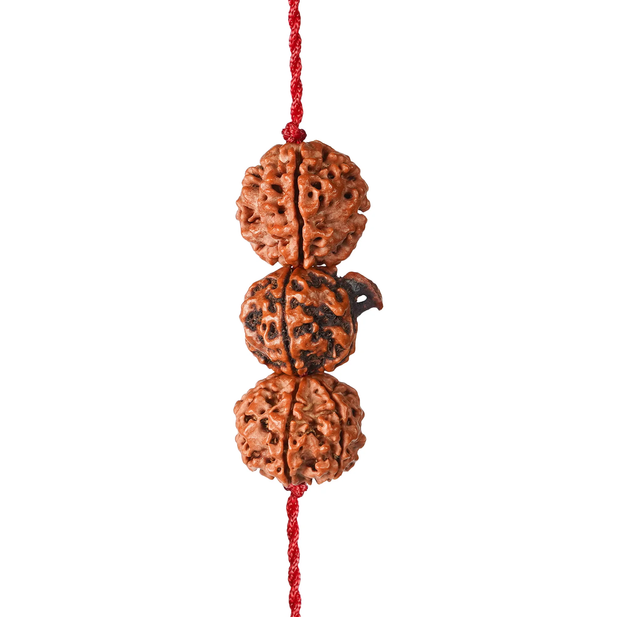 Saraswati Gyaan Kavach – 4 & 6 Mukhi + Ganesh Rudraksha — Nepal photo 4