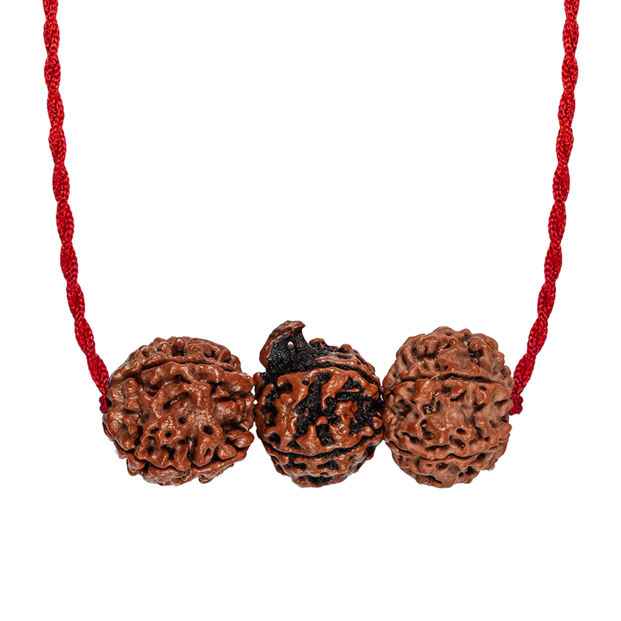 Saraswati Gyaan Kavach – 4 & 6 Mukhi + Ganesh Rudraksha