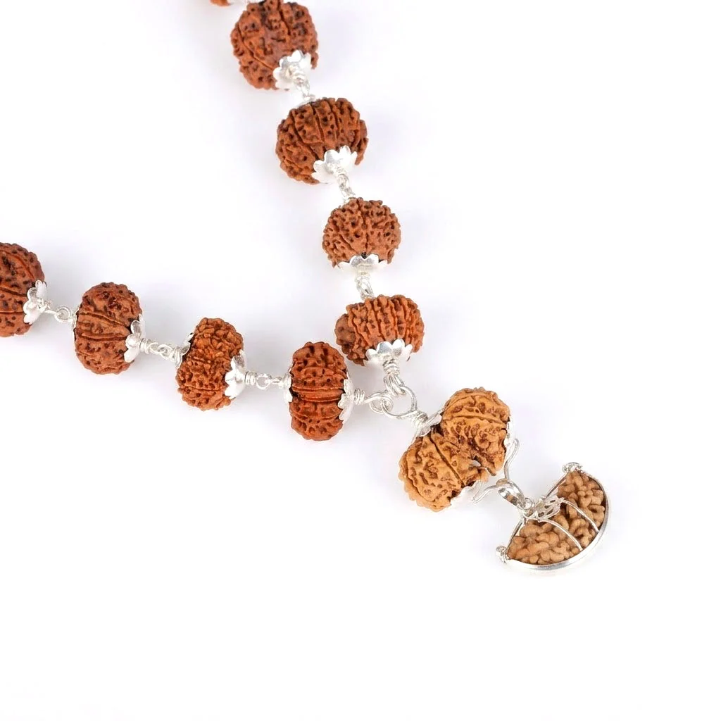 Siddha Mala with 1 Mukhi Half Moon Rudraksha — Collector Rudraksha, Nepal — view 5