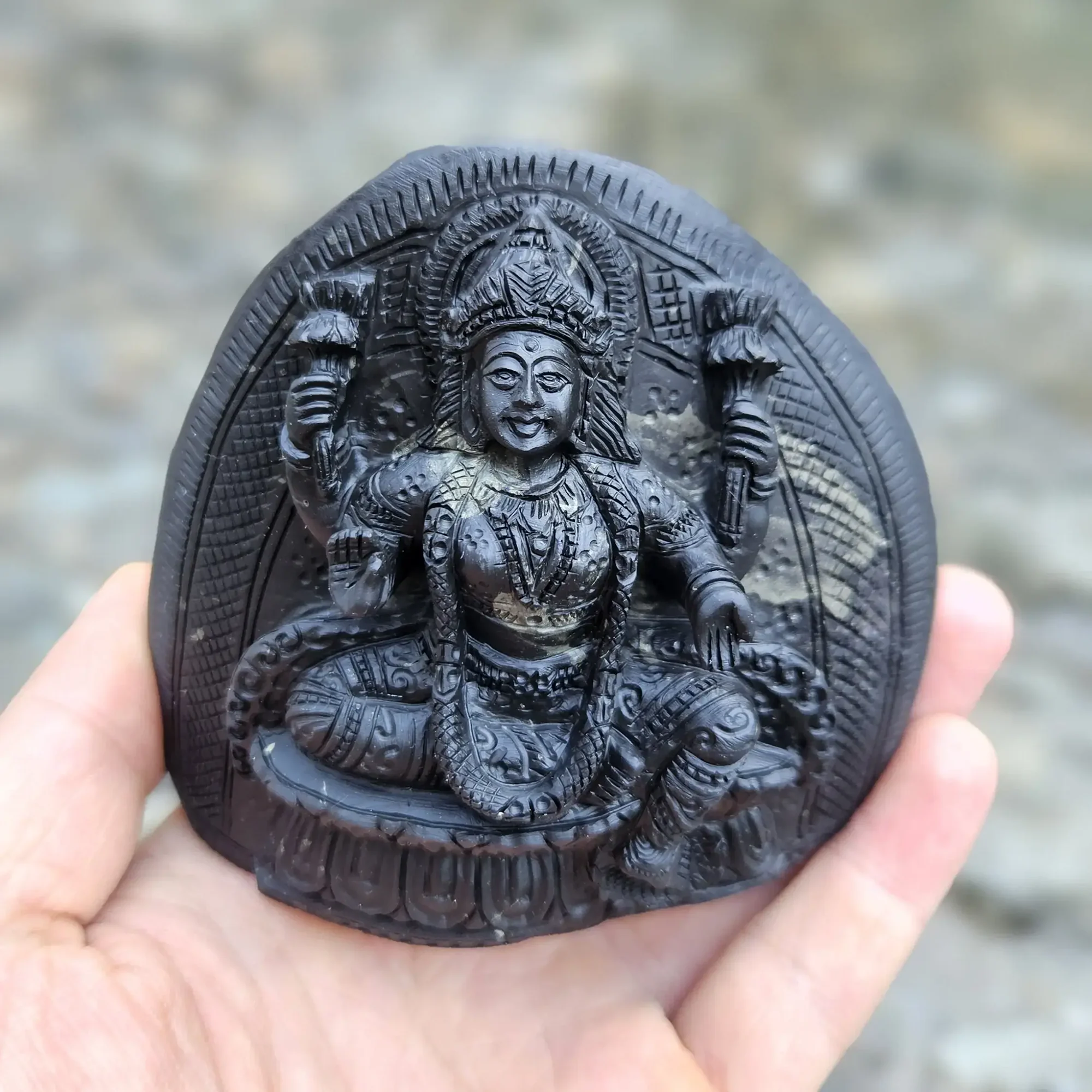 Maha Lakshmi Shaligram Murti