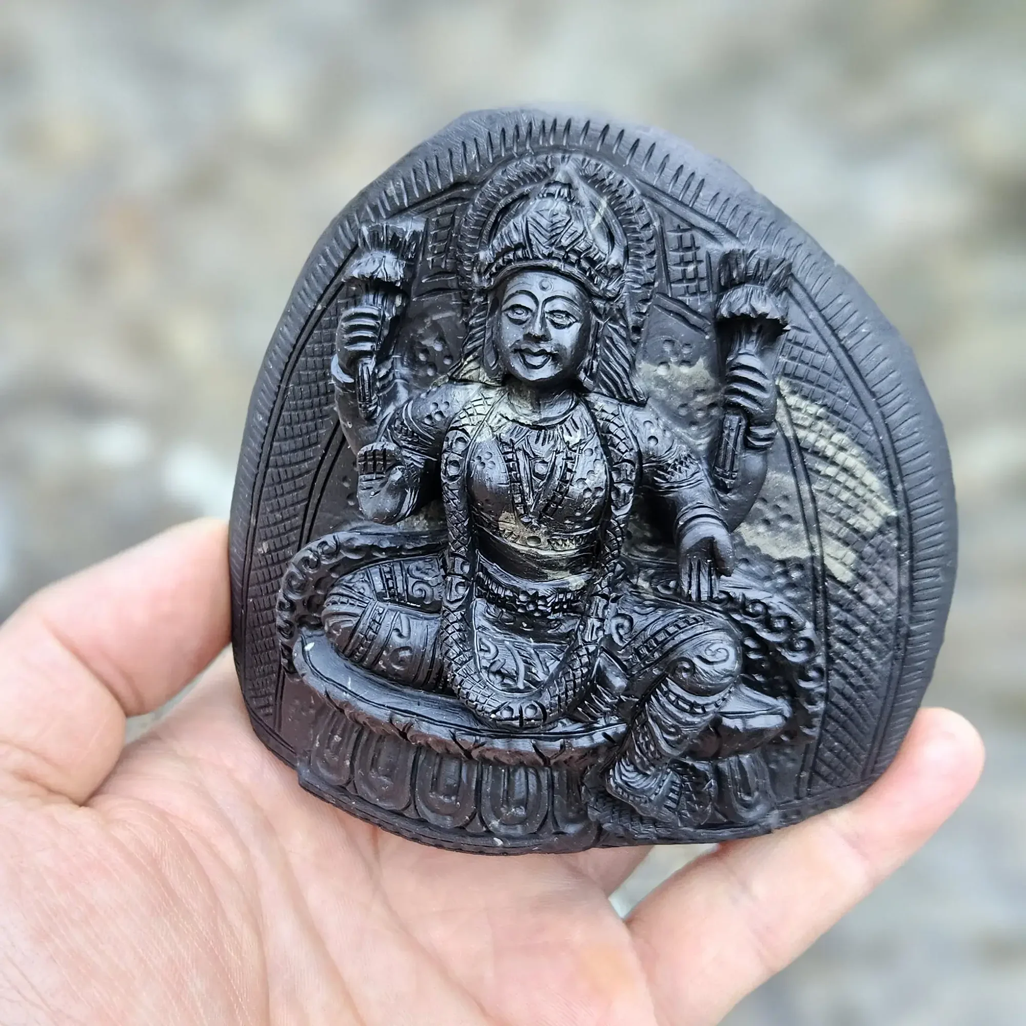Maha Lakshmi Shaligram Murti — view 2