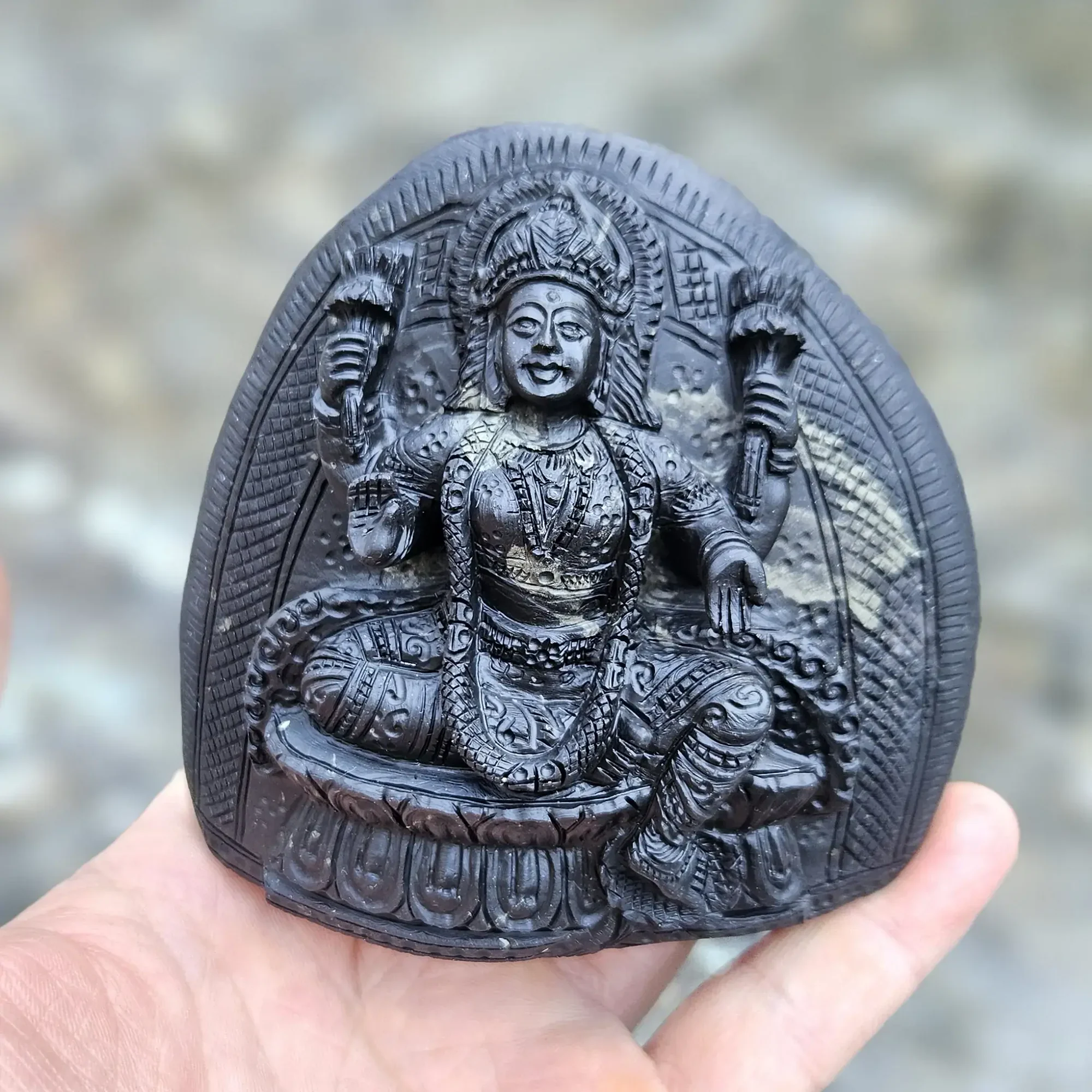 Maha Lakshmi Shaligram Murti — view 3