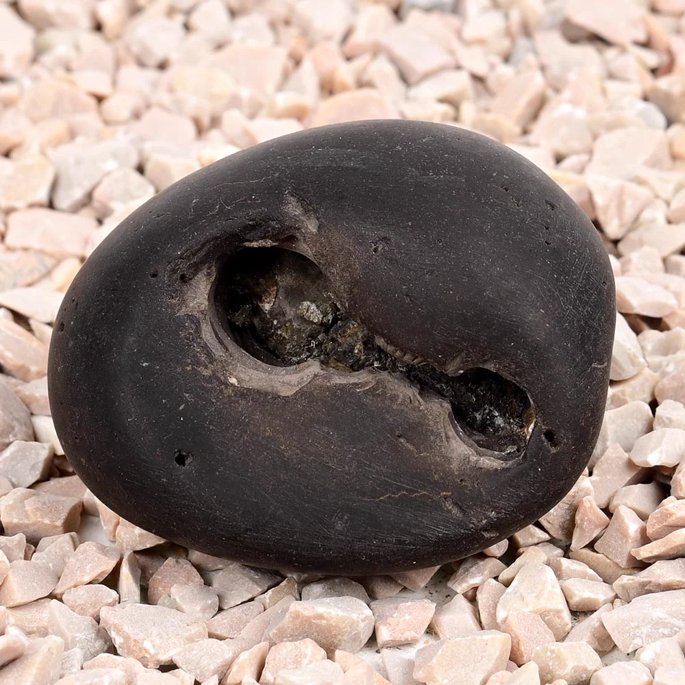 Laxmi Kamal Narsimha Shaligram Shila