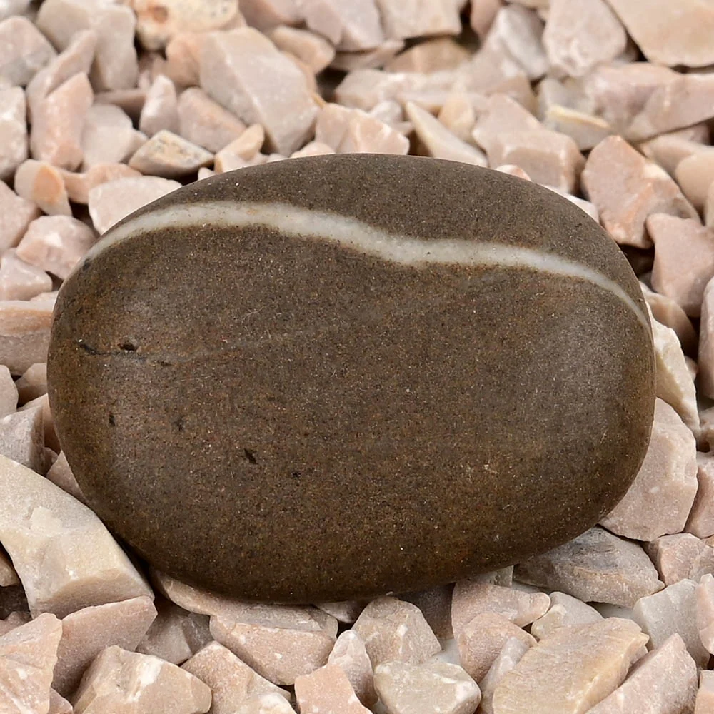 Ram Shaligram Shila — 17 g