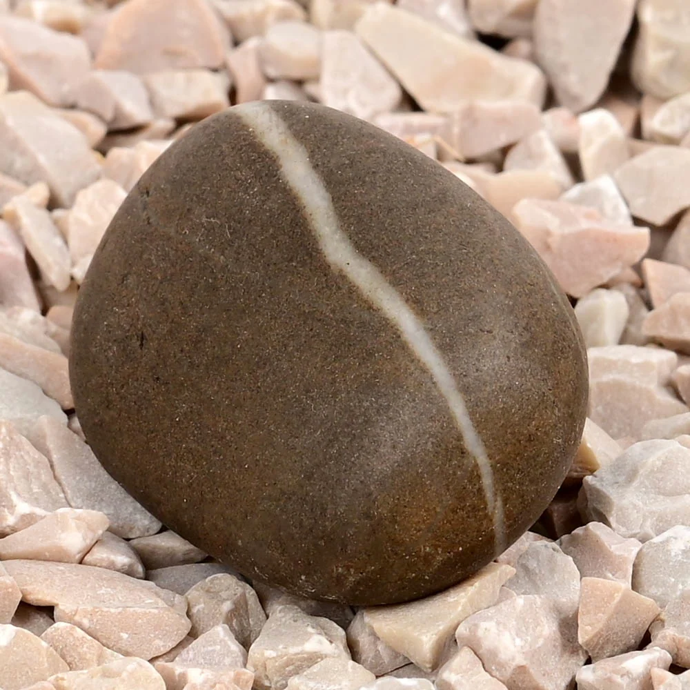 Ram Shaligram Shila — 17 g — view 2