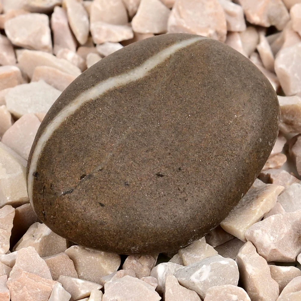 Ram Shaligram Shila — 17 g — view 3