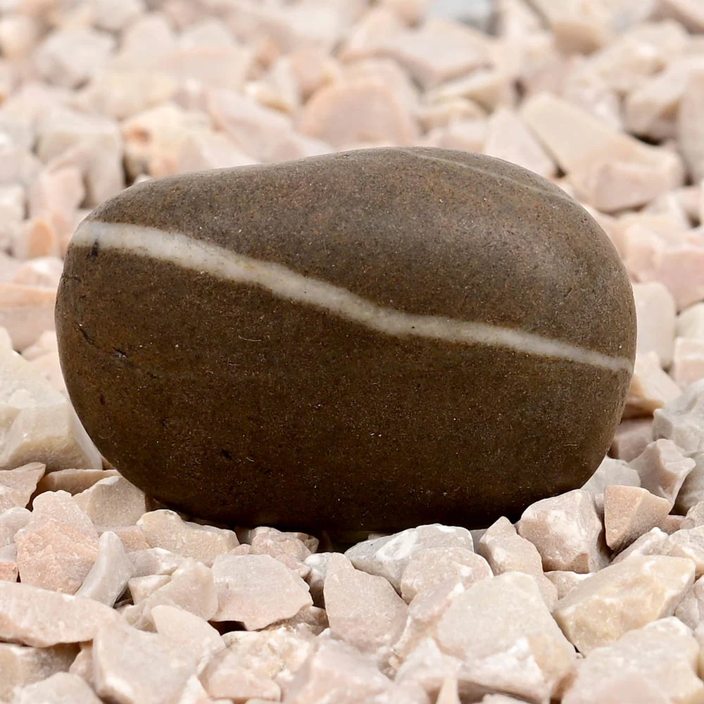 Ram Shaligram Shila — 17 g — view 4