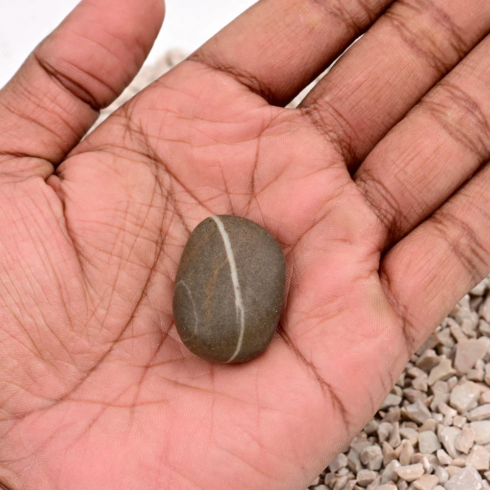 Ram Shaligram Shila — 17 g — view 5