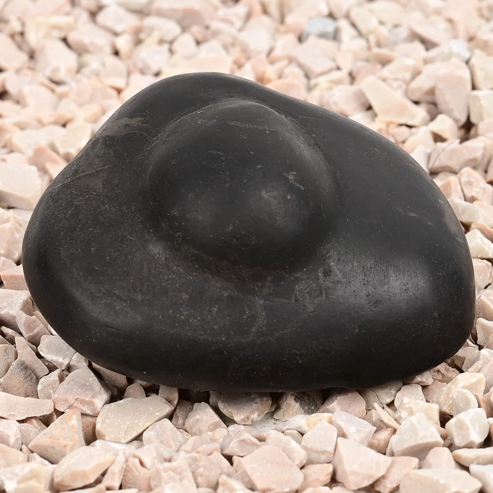 Shivlinga Parvati Shaligram Shila