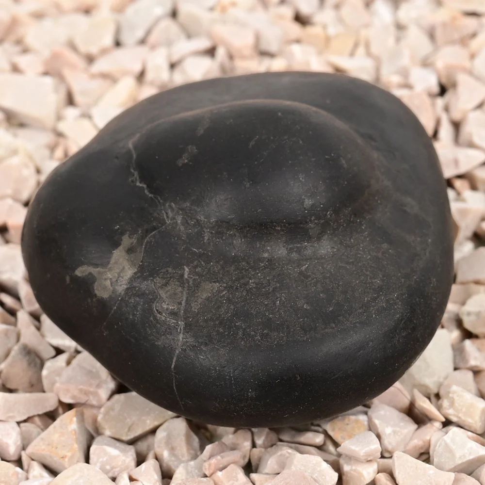 Shivlinga Parvati Shaligram Shila — view 2