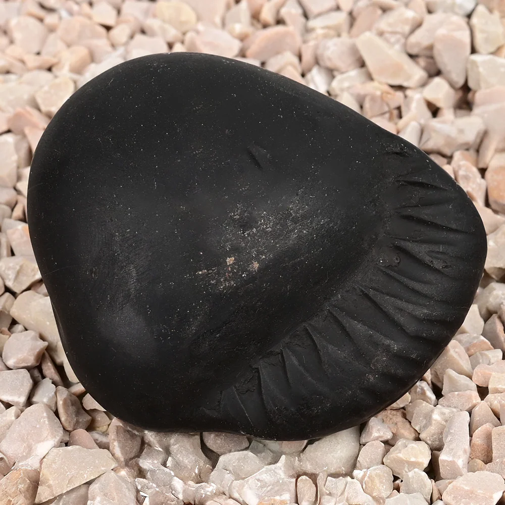 Shivlinga Parvati Shaligram Shila — view 4