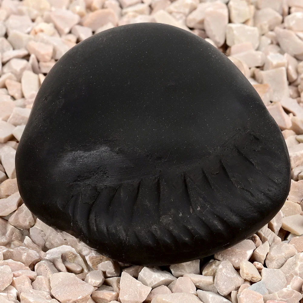 Shivlinga Parvati Shaligram Shila — view 6