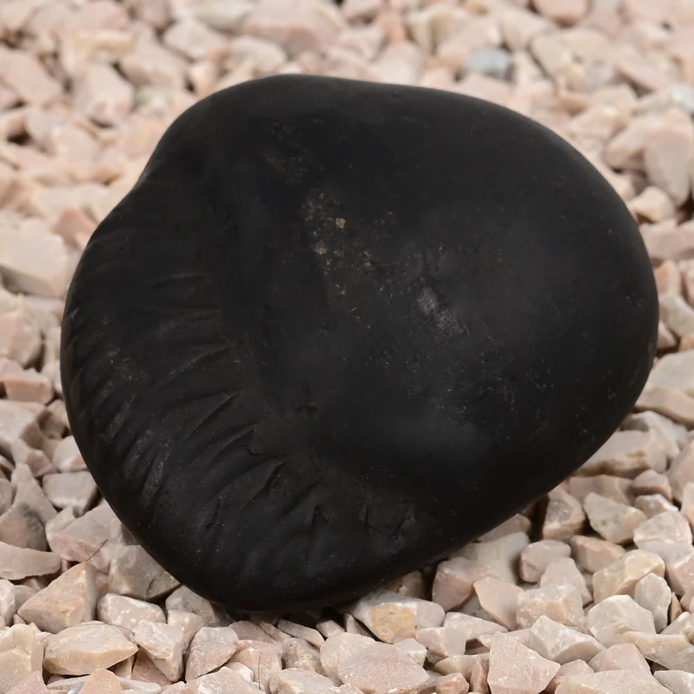 Shivlinga Parvati Shaligram Shila — view 7