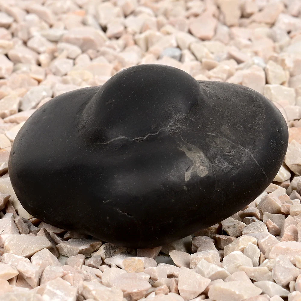 Shivlinga Parvati Shaligram Shila — view 8