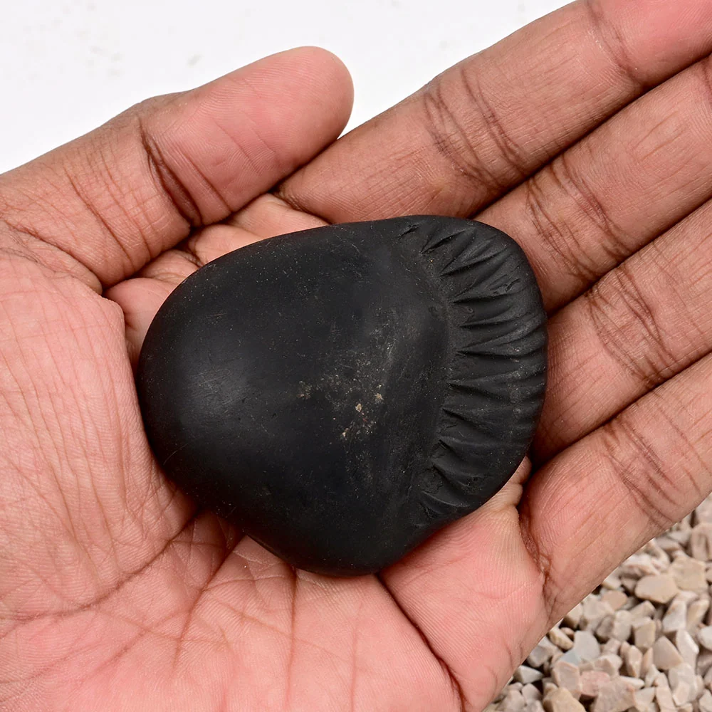 Shivlinga Parvati Shaligram Shila — view 9