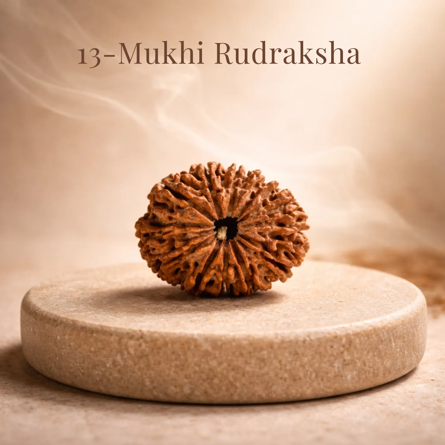 13 Mukhi Nepali Rudraksha