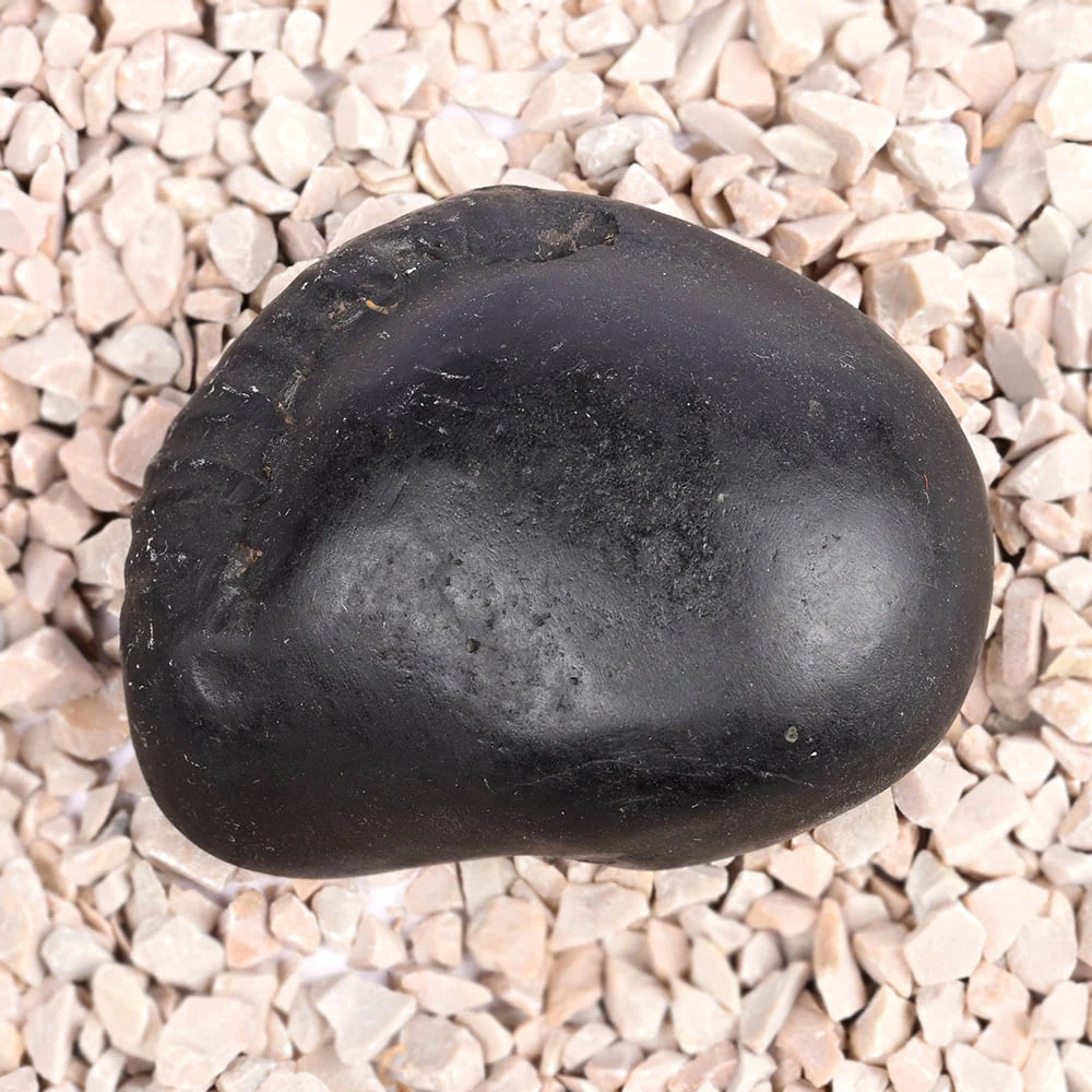 Maha Vishnu Shaligram Shila — view 4