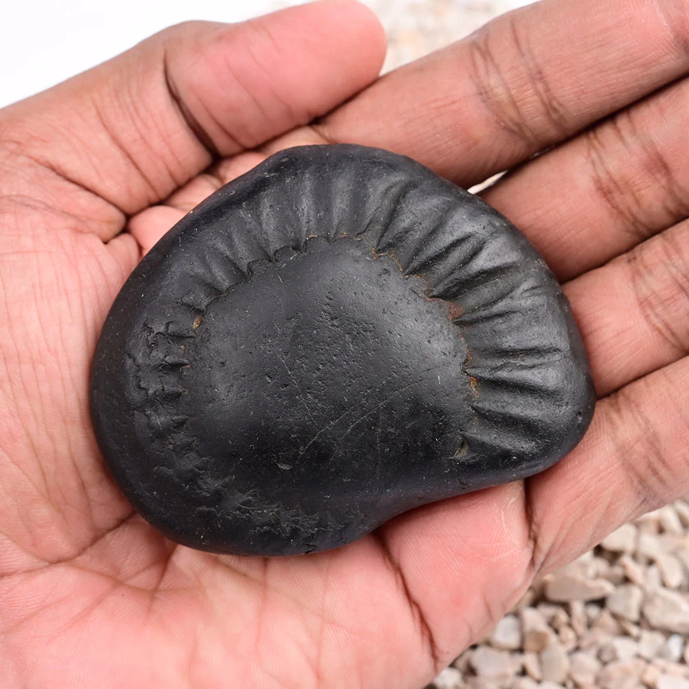 Maha Vishnu Shaligram Shila — view 5