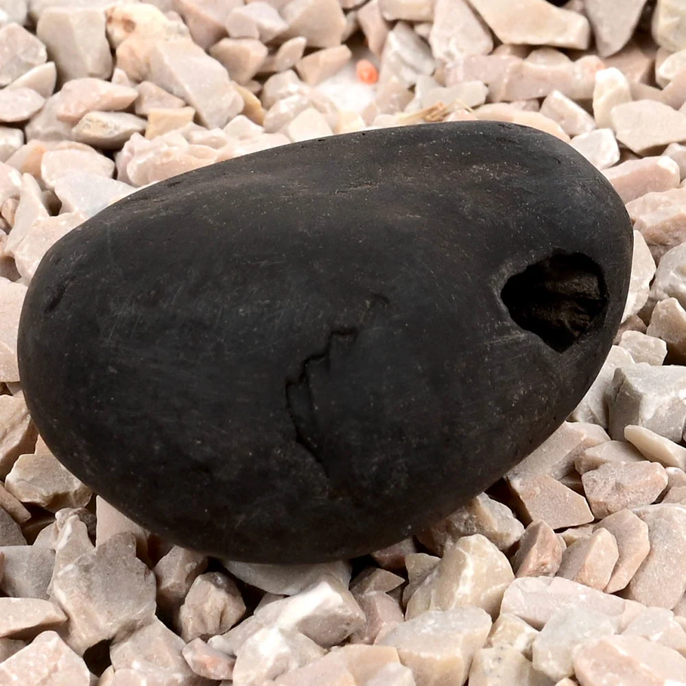 Chakradhari Narsimha Shaligram Shila — view 2